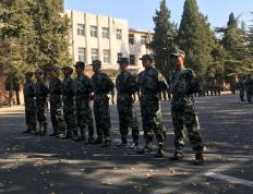 乐鱼-包含冰岛球队人才济济，士气高昂的词条