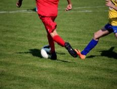 乐鱼app-意大利网球队鏖战德国网球队，兹维列夫制霸全场