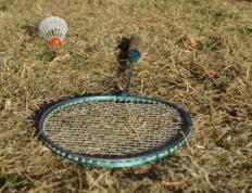 乐鱼app-韩国羽毛球队碾压印度羽毛球队，戴资颖三分雨点燃全场